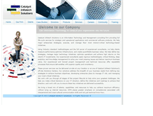 Tablet Screenshot of catalystinfotech.com